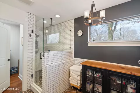Bath - 1371 Broady Rd, Nesbit, MS 38651 photo 3 of 6