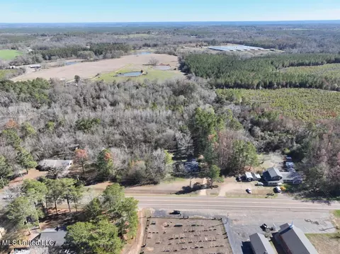 Highway 35, Mize, MS 39116 photo 4