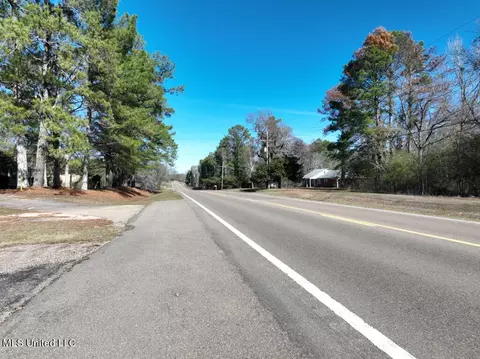 Highway 35, Mize, MS 39116 photo 7