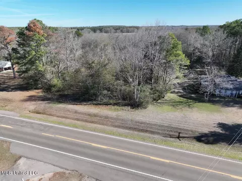 Highway 35, Mize, MS 39116 photo 3