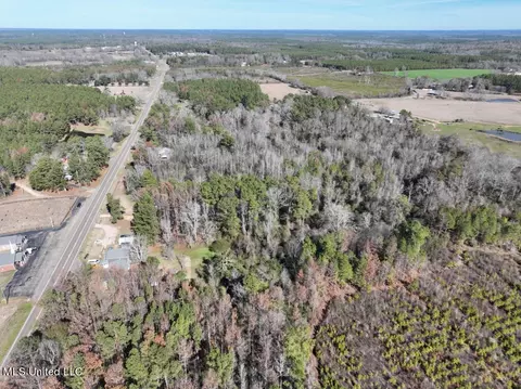 Highway 35, Mize, MS 39116 photo 5