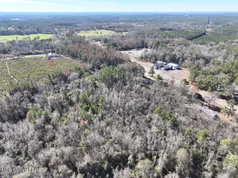 Highway 35, Mize, MS 39116 photo 6