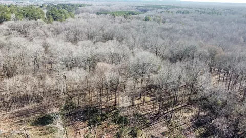 Adams Evenue, Eupora, MS 39744 photo 6
