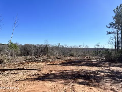 Adams Evenue, Eupora, MS 39744 photo 8