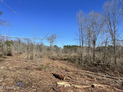 Adams Evenue, Eupora, MS 39744 photo 11