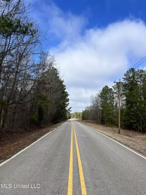 Mantee Road, Maben, MS 39750 photo 2