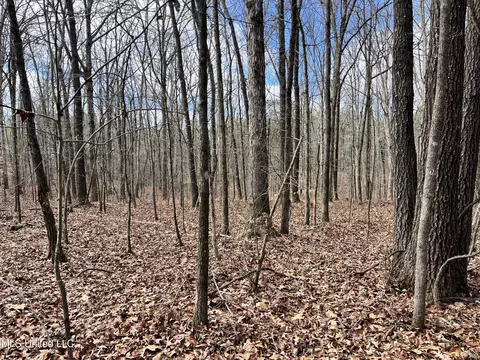 Mantee Road, Maben, MS 39750