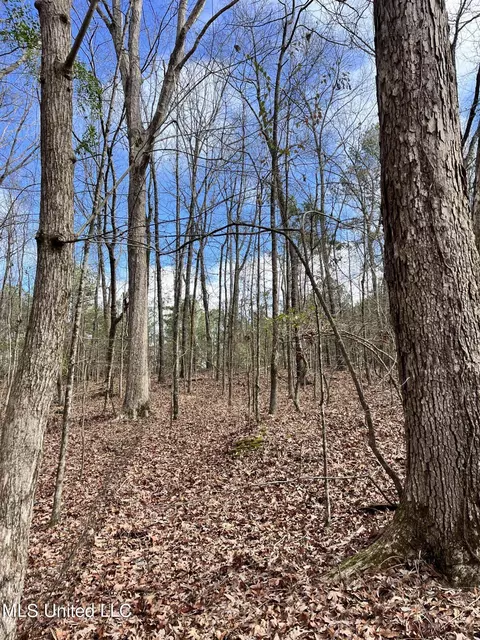 Mantee Road, Maben, MS 39750 photo 5