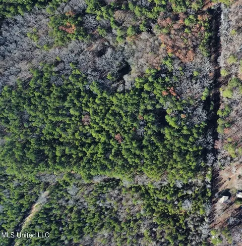 Hwy 471, Brandon, MS 39047