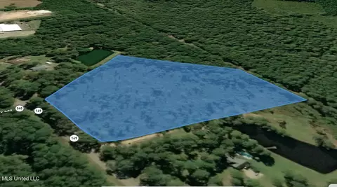 0 Ms-149, Mendenhall, MS 39114 photo 3