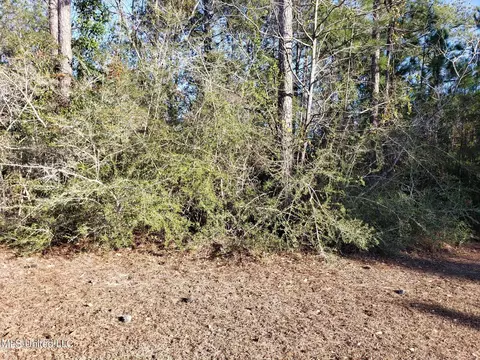 0 Saw Grass Pt, Gautier, MS 39553