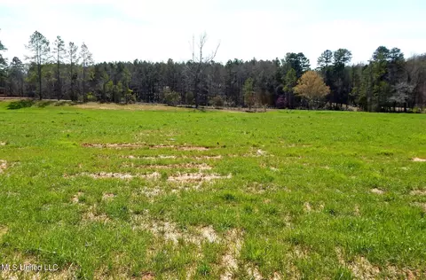 4 Graysport Crossing Rd, Gore Springs, MS 38929