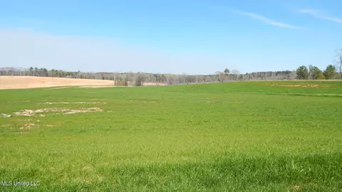 6 Graysport Crossing Rd, Gore Springs, MS 38929
