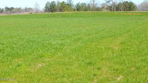 7 Graysport Crossing Rd, Gore Springs, MS 38929