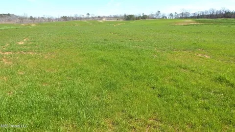 769 Graysport Crossing Rd, Gore Springs, MS 38929