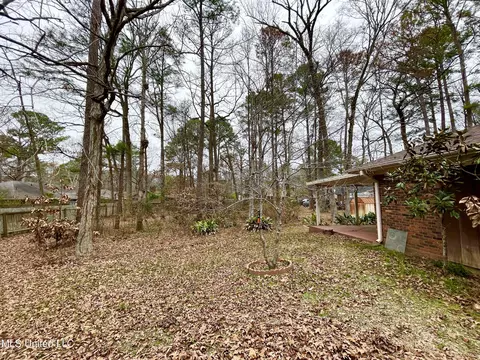 102 Heron Ct, Brandon, MS 39047 photo 37