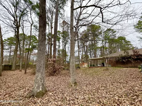 102 Heron Ct, Brandon, MS 39047 photo 38