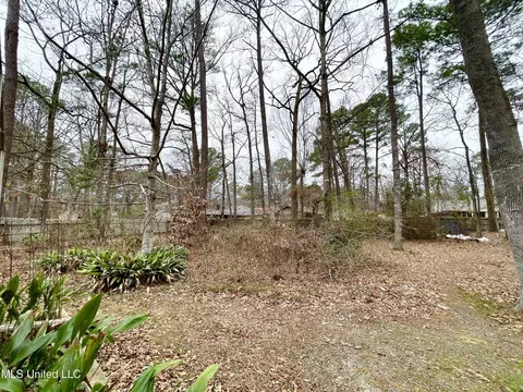 102 Heron Ct, Brandon, MS 39047 photo 43