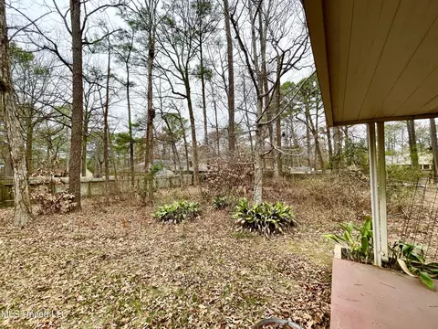 102 Heron Ct, Brandon, MS 39047 photo 44