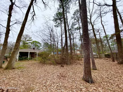 102 Heron Ct, Brandon, MS 39047 photo 40
