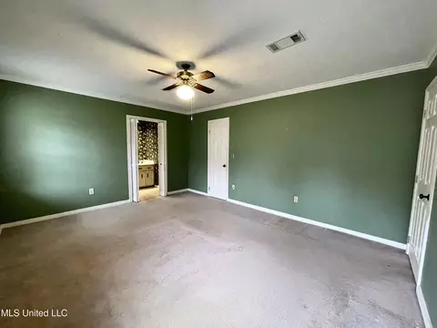 102 Heron Ct, Brandon, MS 39047 photo 23