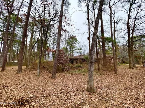 102 Heron Ct, Brandon, MS 39047 photo 39