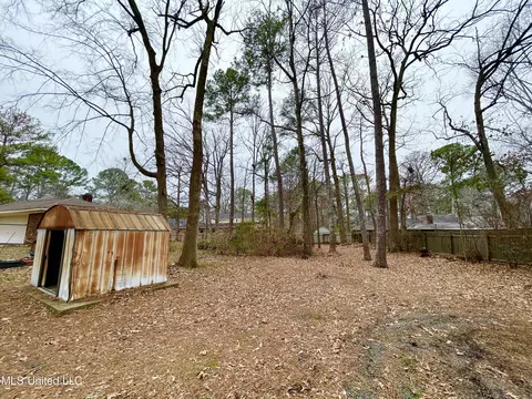 102 Heron Ct, Brandon, MS 39047 photo 41