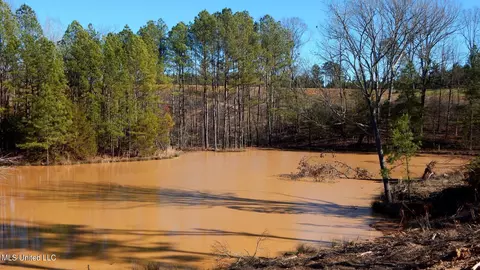 732 Graysport Crossing Rd, Gore Springs, MS 38929