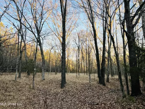 947 Old Robinson Rd, Carthage, MS 39051 photo 31