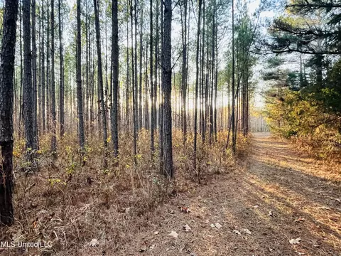 947 Old Robinson Rd, Carthage, MS 39051 photo 16