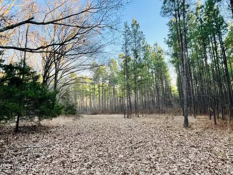 947 Old Robinson Rd, Carthage, MS 39051 photo 32