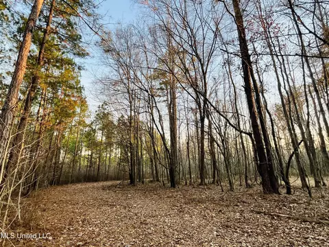 947 Old Robinson Rd, Carthage, MS 39051 photo 41