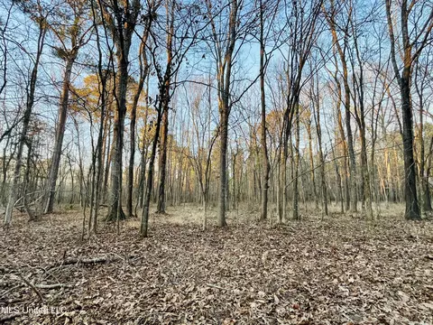 947 Old Robinson Rd, Carthage, MS 39051 photo 40