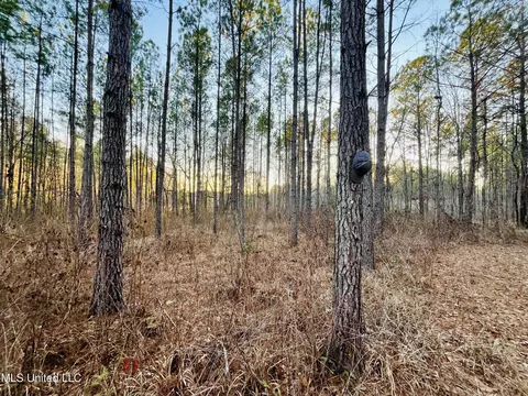 947 Old Robinson Rd, Carthage, MS 39051 photo 34