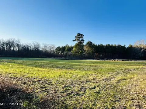 947 Old Robinson Rd, Carthage, MS 39051 photo 12
