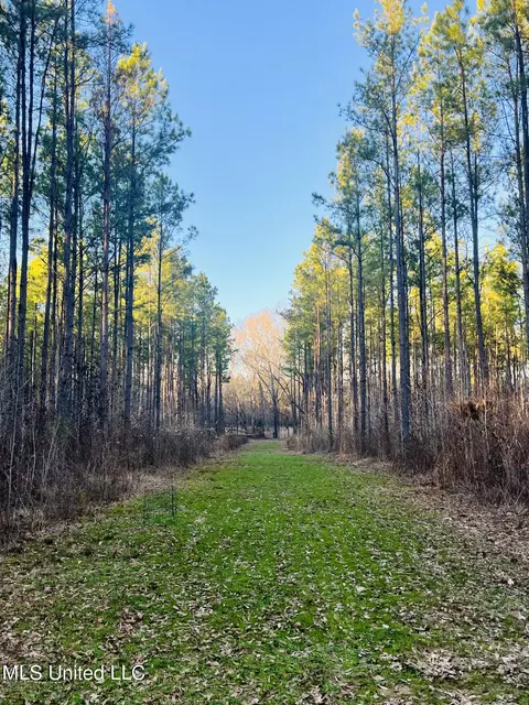 947 Old Robinson Rd, Carthage, MS 39051 photo 28