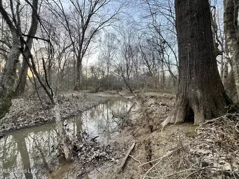 947 Old Robinson Rd, Carthage, MS 39051 photo 43