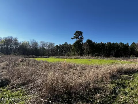 947 Old Robinson Rd, Carthage, MS 39051 photo 49