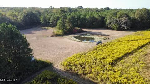 947 Old Robinson Rd, Carthage, MS 39051