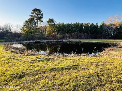 947 Old Robinson Rd, Carthage, MS 39051 photo 13