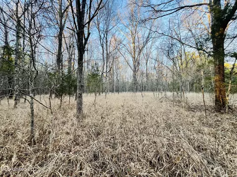 947 Old Robinson Rd, Carthage, MS 39051 photo 36