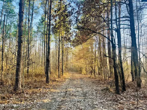 947 Old Robinson Rd, Carthage, MS 39051 photo 14