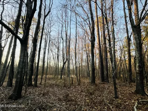 947 Old Robinson Rd, Carthage, MS 39051 photo 39