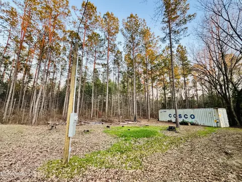 947 Old Robinson Rd, Carthage, MS 39051 photo 10