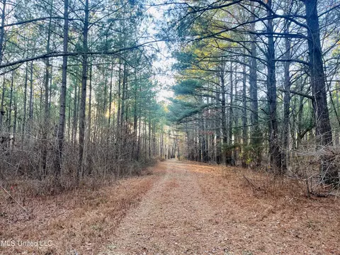 947 Old Robinson Rd, Carthage, MS 39051 photo 27