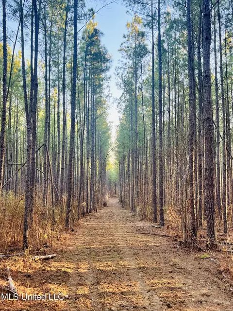 947 Old Robinson Rd, Carthage, MS 39051 photo 29
