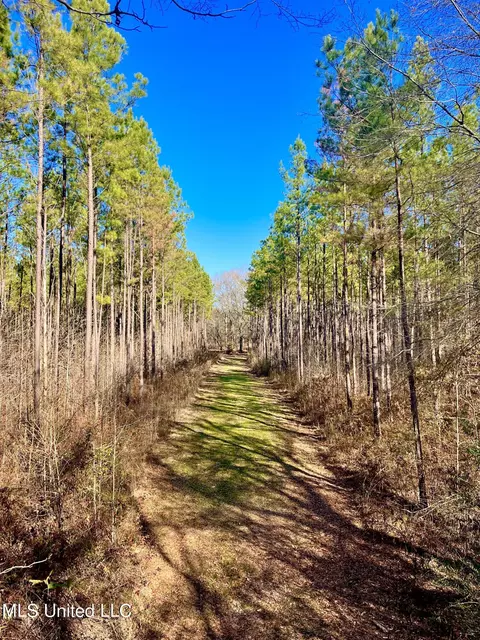 947 Old Robinson Rd, Carthage, MS 39051 photo 25