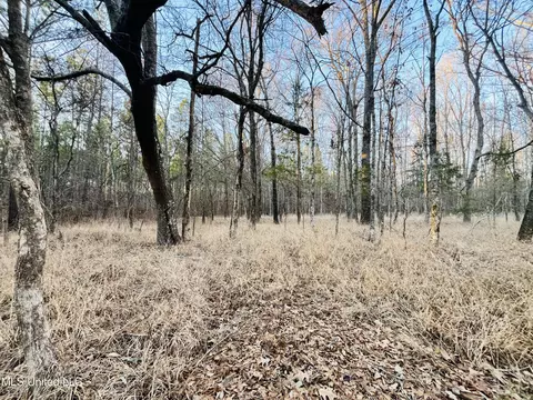 947 Old Robinson Rd, Carthage, MS 39051 photo 35