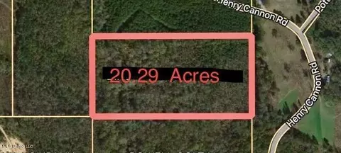 Henry Cannon Road, Braxton, MS 39044