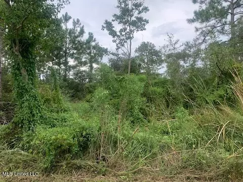 Dolphin Street, Bay Saint Louis, MS 39520